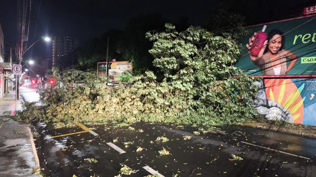 Foto 32 de 67 — TEMPORAL EM FOTOS: veja imagens de destruição em Araraquara